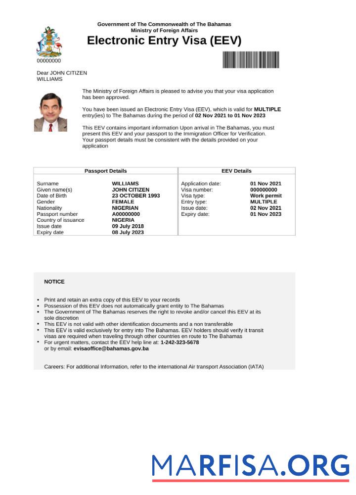 Printable Bahamas e visa in Word and Pdf template